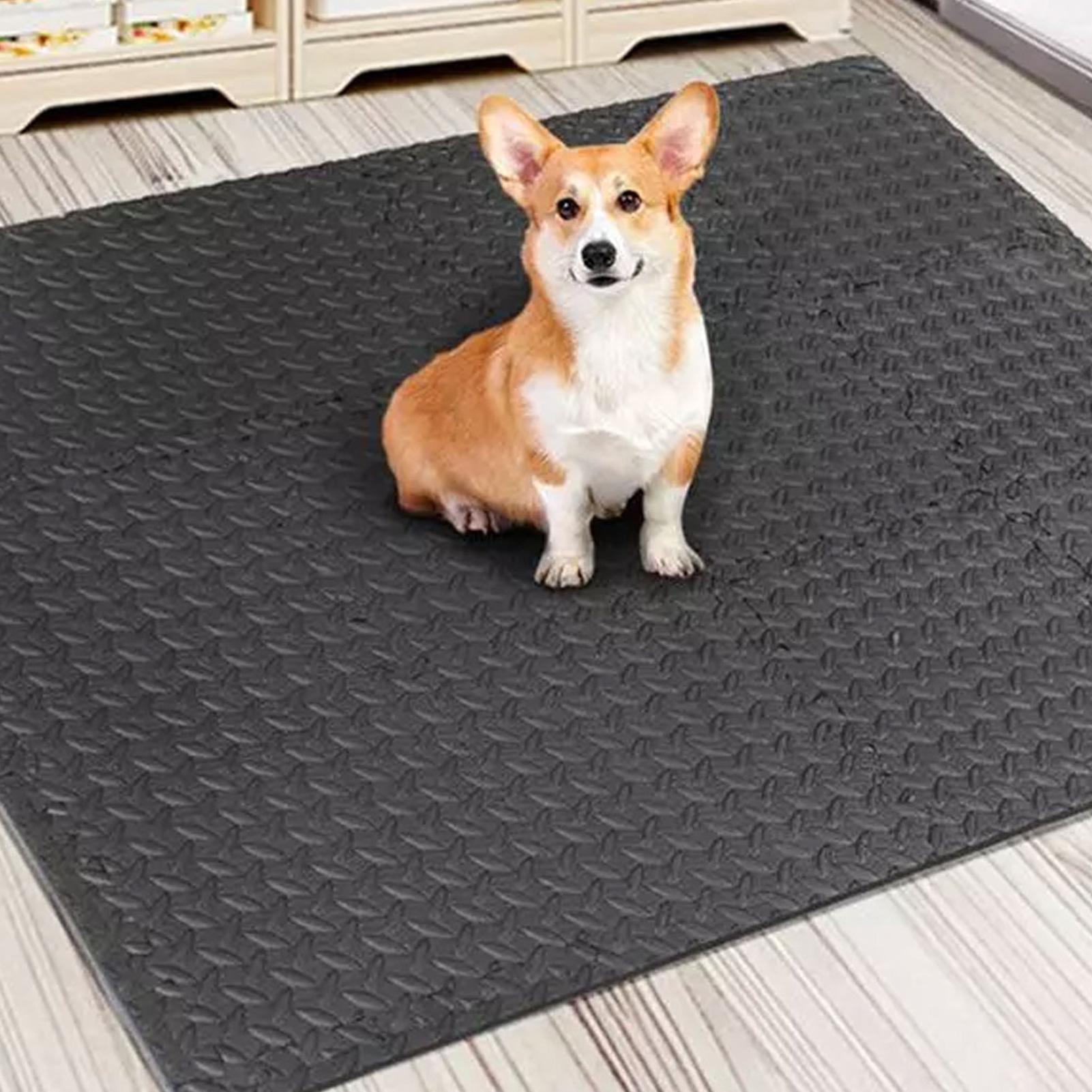 Home Gym For Toddlers - แผ่นรองออกกำลังกายแบบจิ๊กซอว์ 12 ชิ้น แผ่นโฟมประกบกัน สำหรับออกกำลังกายที่บ้าน เสื่อโยคะ