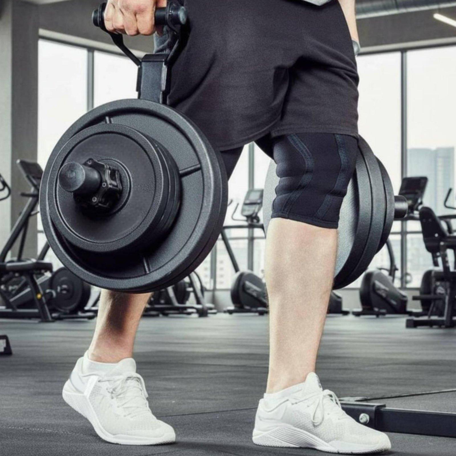 ชั้นวางจัดระเบียบแผ่นน้ำหนักบา - Home Gym Training บทวิจารณ์และราคา