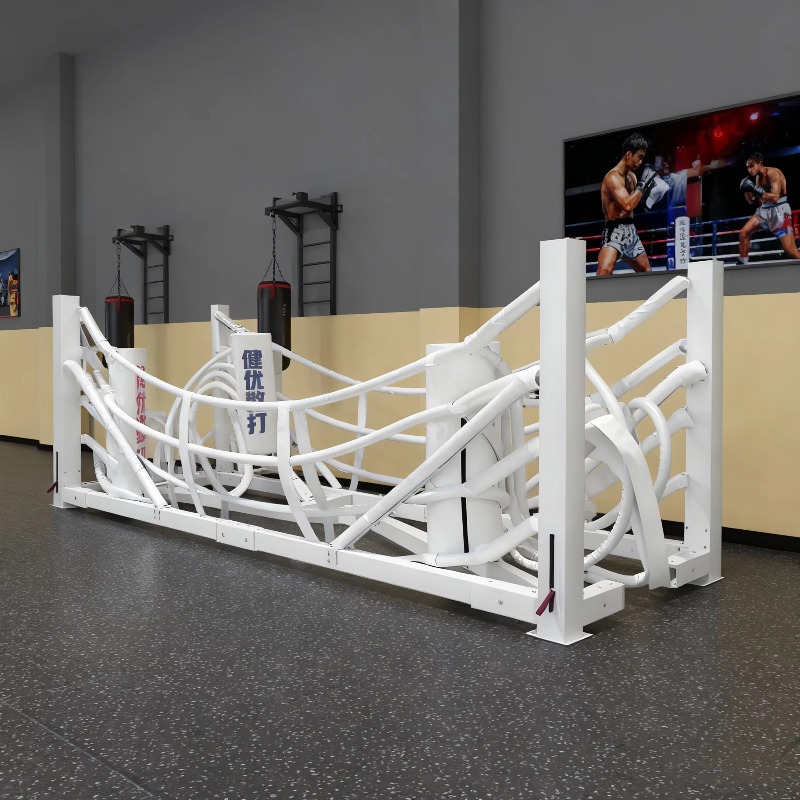 ชุดเวทีมวยพับได้ขนาดเล็ก อุปกร - Home Gym Set บทวิจารณ์และราคา