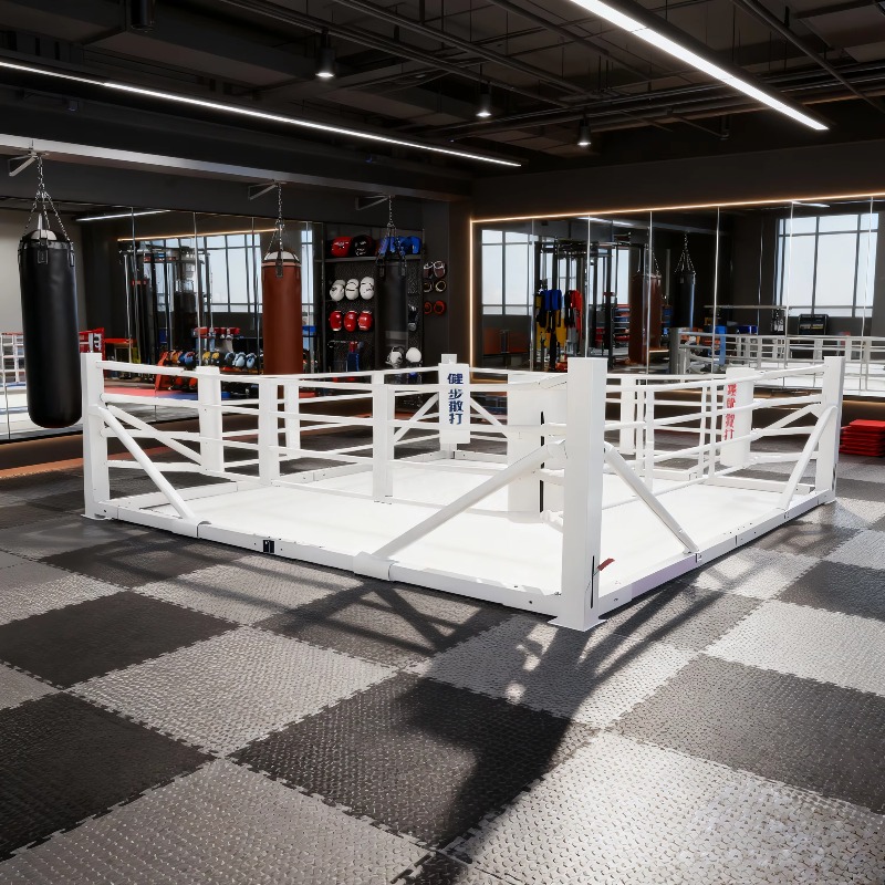 ชุดเวทีมวยพับได้ขนาดเล็ก อุปกร - Home Gym Set บทวิจารณ์และราคา