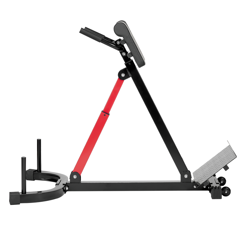เก้าอี้ออกกำลังกายแบบโรมันสำหร - Home Gym Hamstring Exercises บทวิจารณ์และราคา