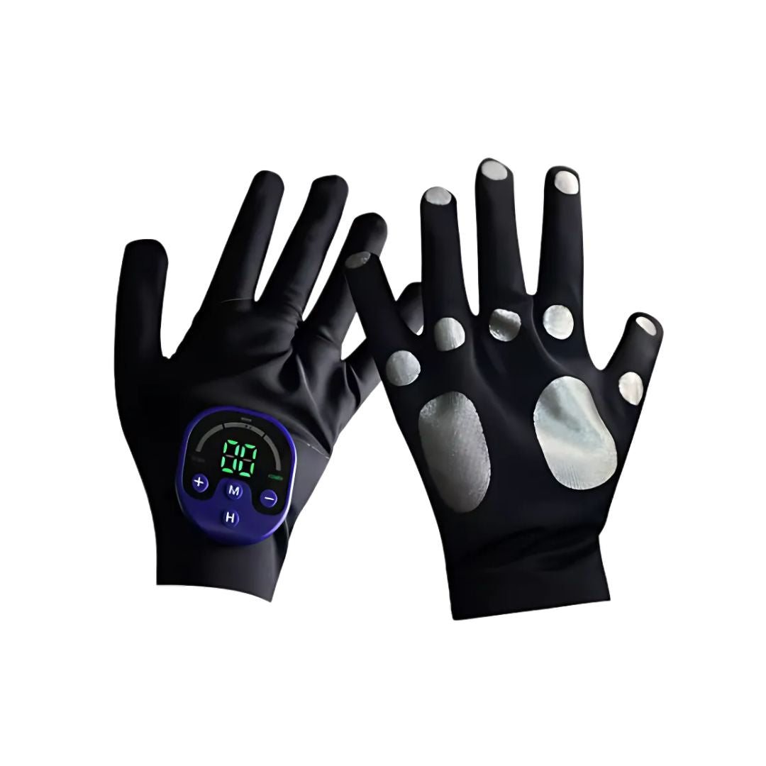 ถุงมือ EMS สำหรับม้า เครื่องกร - Home Gym App บทวิจารณ์และราคา