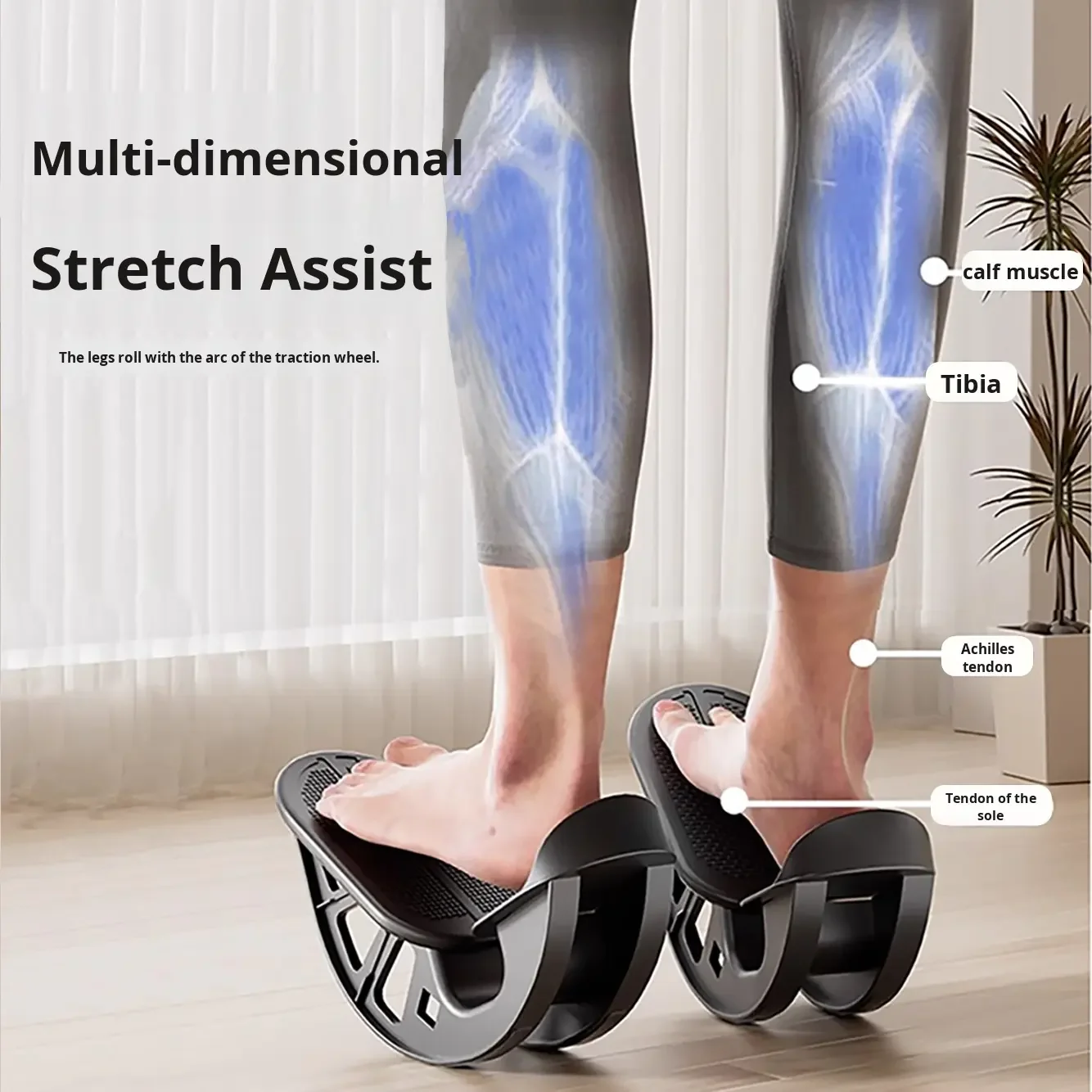 อุปกรณ์ฝึกความสมดุลแบบพกพา สำห - Home Gym App บทวิจารณ์และราคา