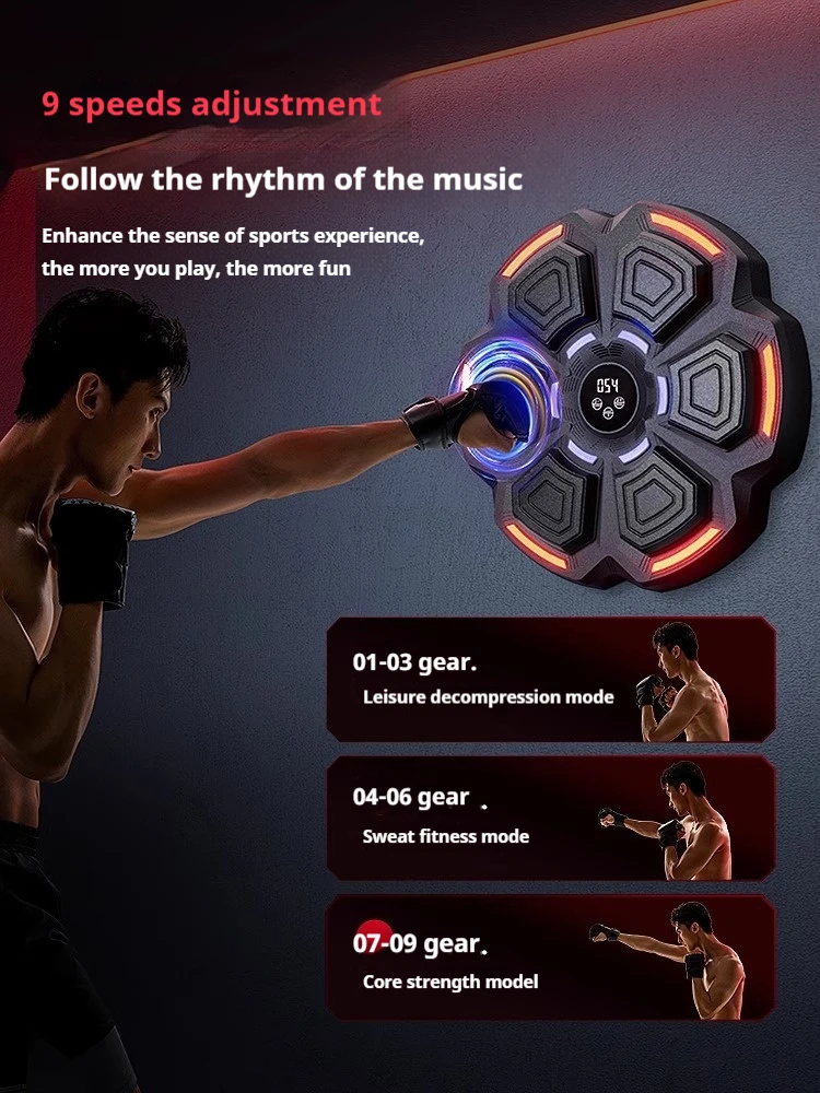 เป้าซ้อมมวยติดผนังปรับระดับควา - Home Gym Wall บทวิจารณ์และราคา