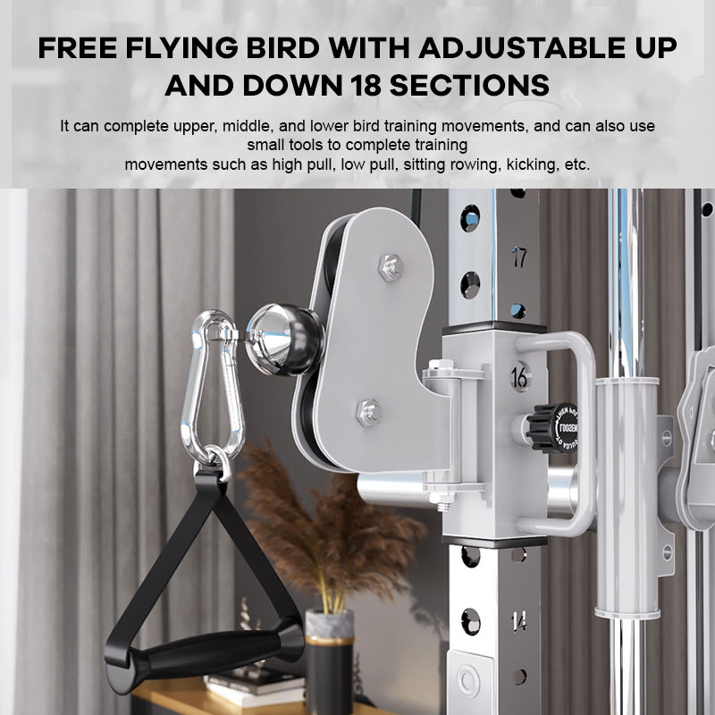 โรงงาน YTYIN ผู้ผลิตอุปกรณ์ออก - Home Gym With Smith Machine บทวิจารณ์และราคา